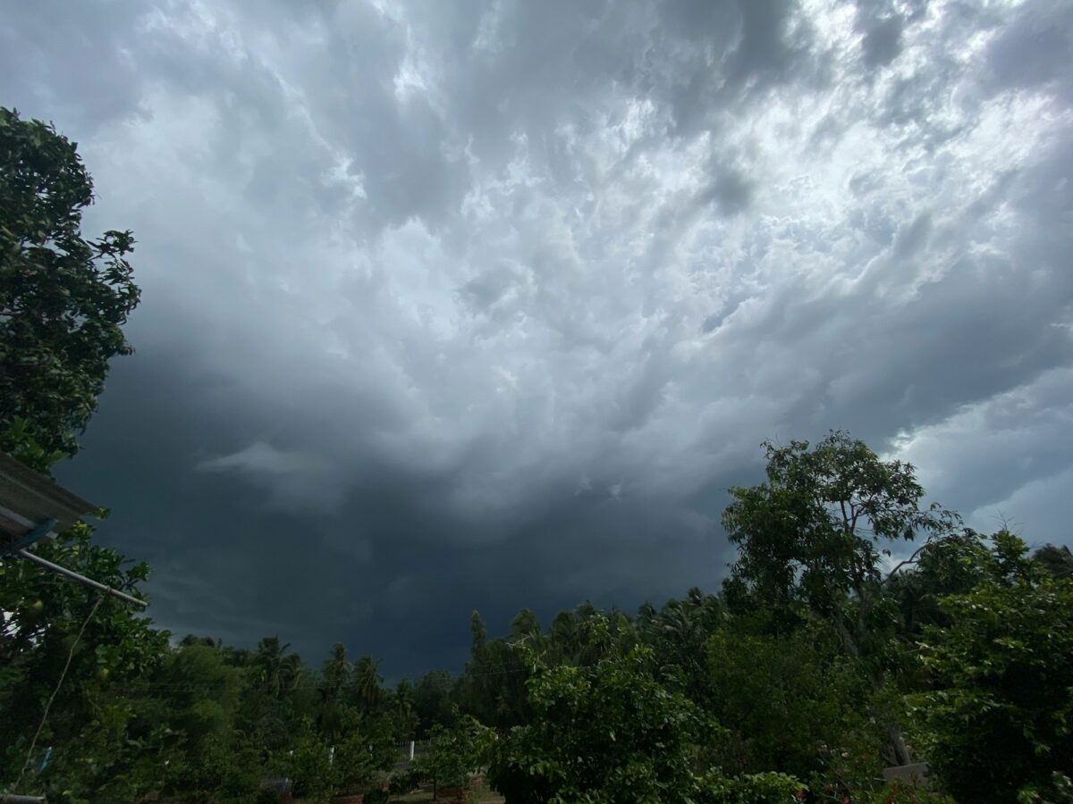 a storm moving through the sky over a forest