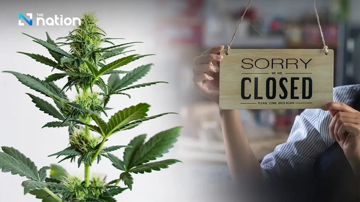 Cannabis-Shops müssen schließen