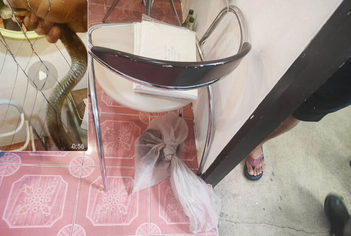 wb-kb-20250703-175652