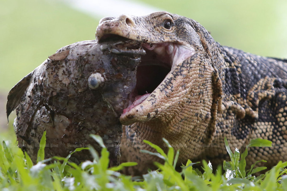 wb-kb-20250704-175832