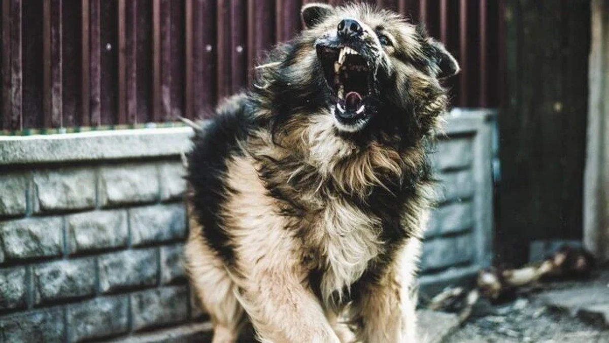 wb-kb-20250708-163035