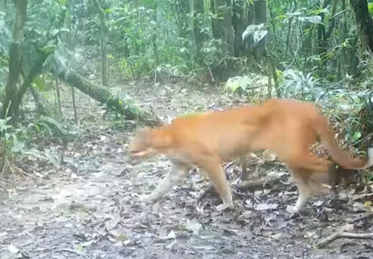 wb-kb-20250709-112634