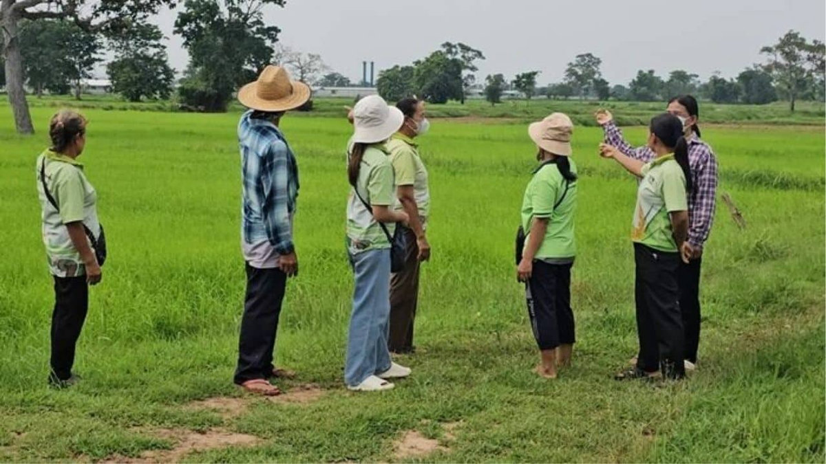 wb-kb-20250710-075550