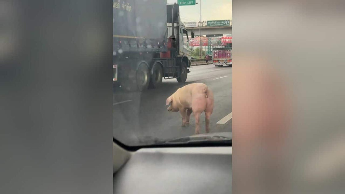 wb-kb-20250713-081142