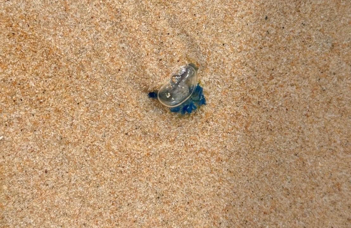 wb-kb-20250716-101845