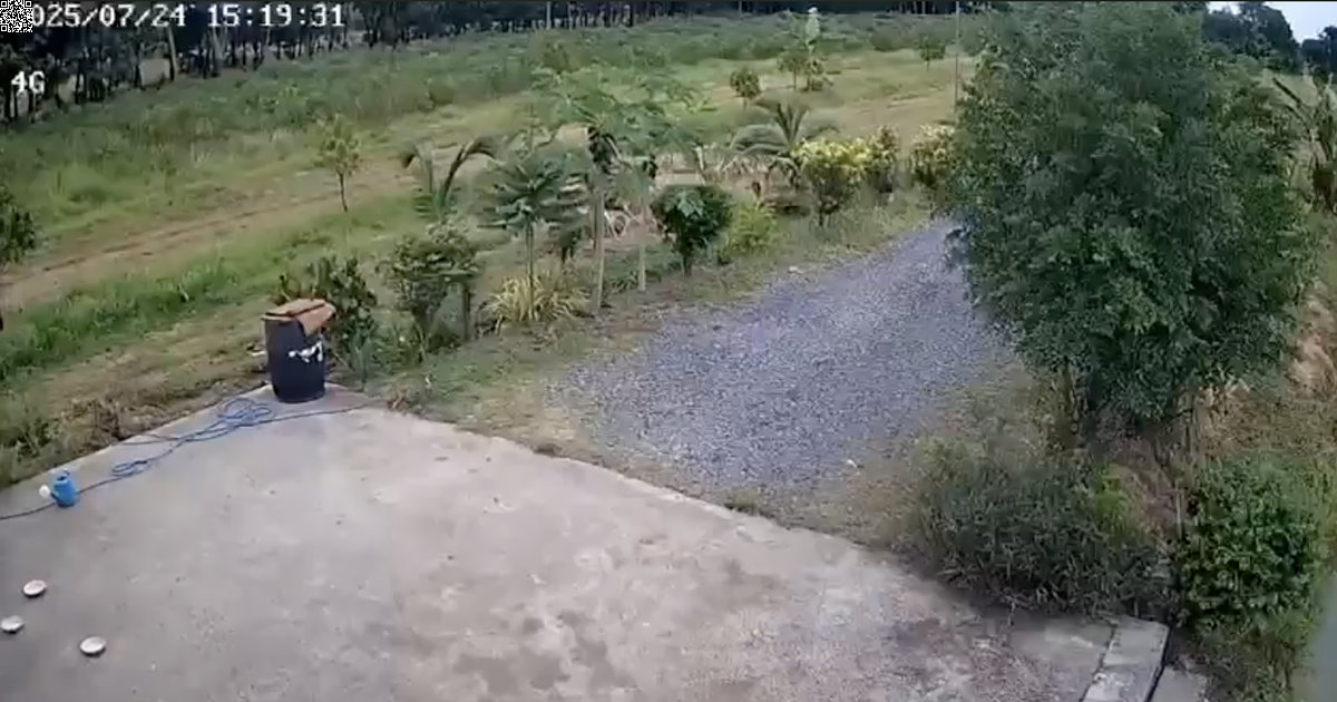 Video: Granaten bei Buriram – Thai-deutsche Familie flieht