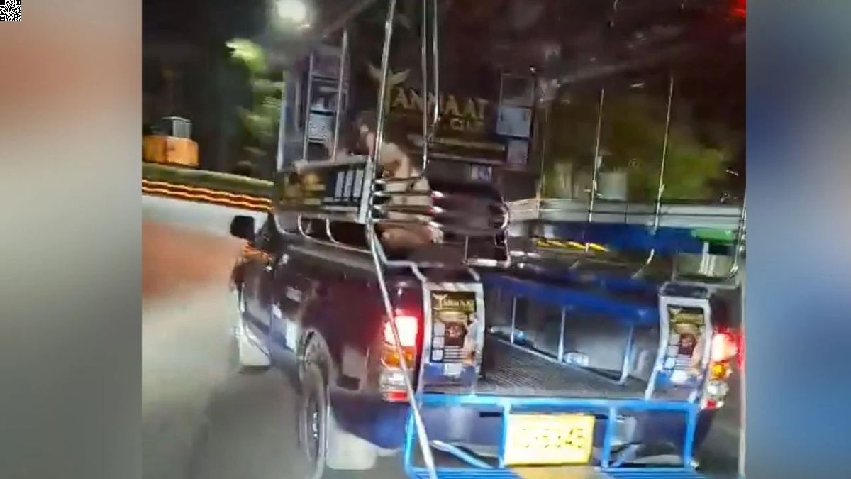 Unruhe im Baht-Bus: Touristen verhalten sich respektlos