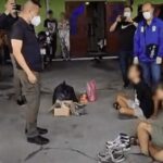 11 Studenten für Hochzeitsmord verurteilt 11 Studenten für Hochzeitsmord verurteilt