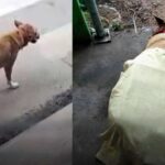 Angst und Wut durch "Serienmörder" Angst und Wut durch "Serienmörder"