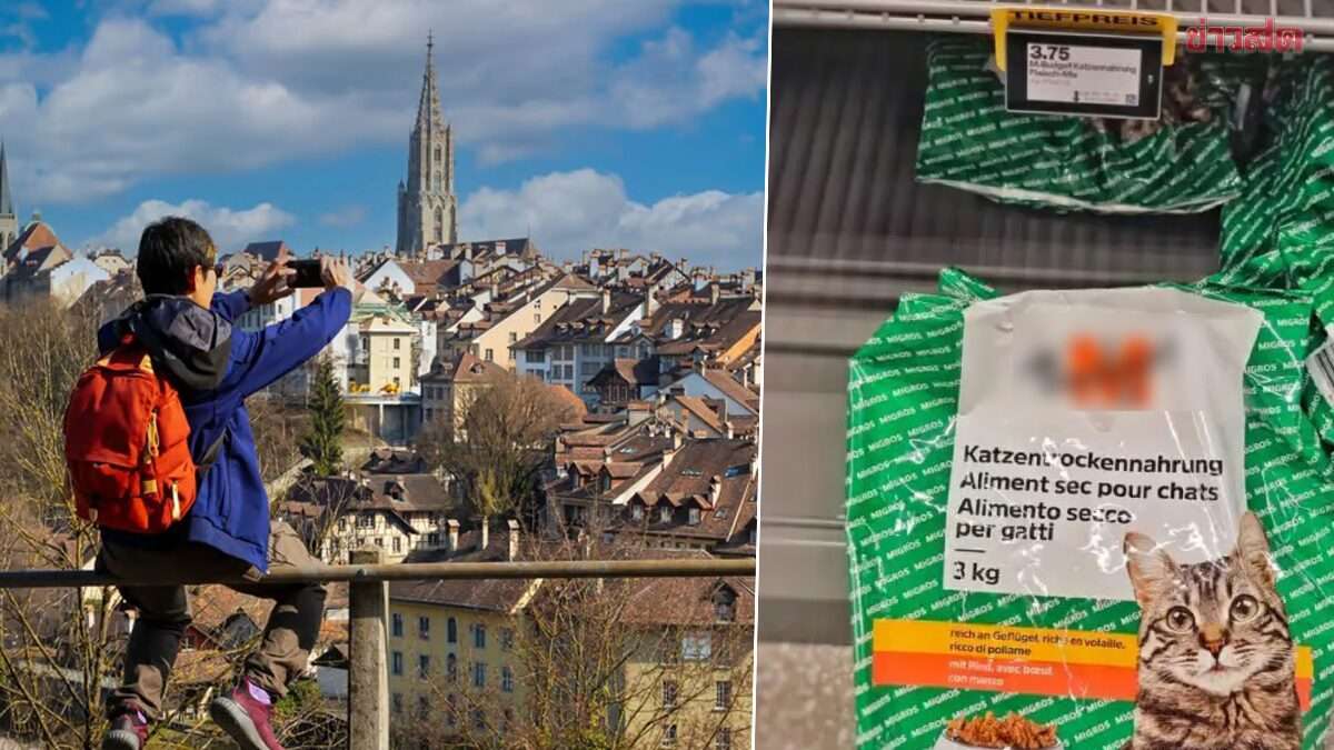 Schweiz: Doktorand isst Katzenfutter