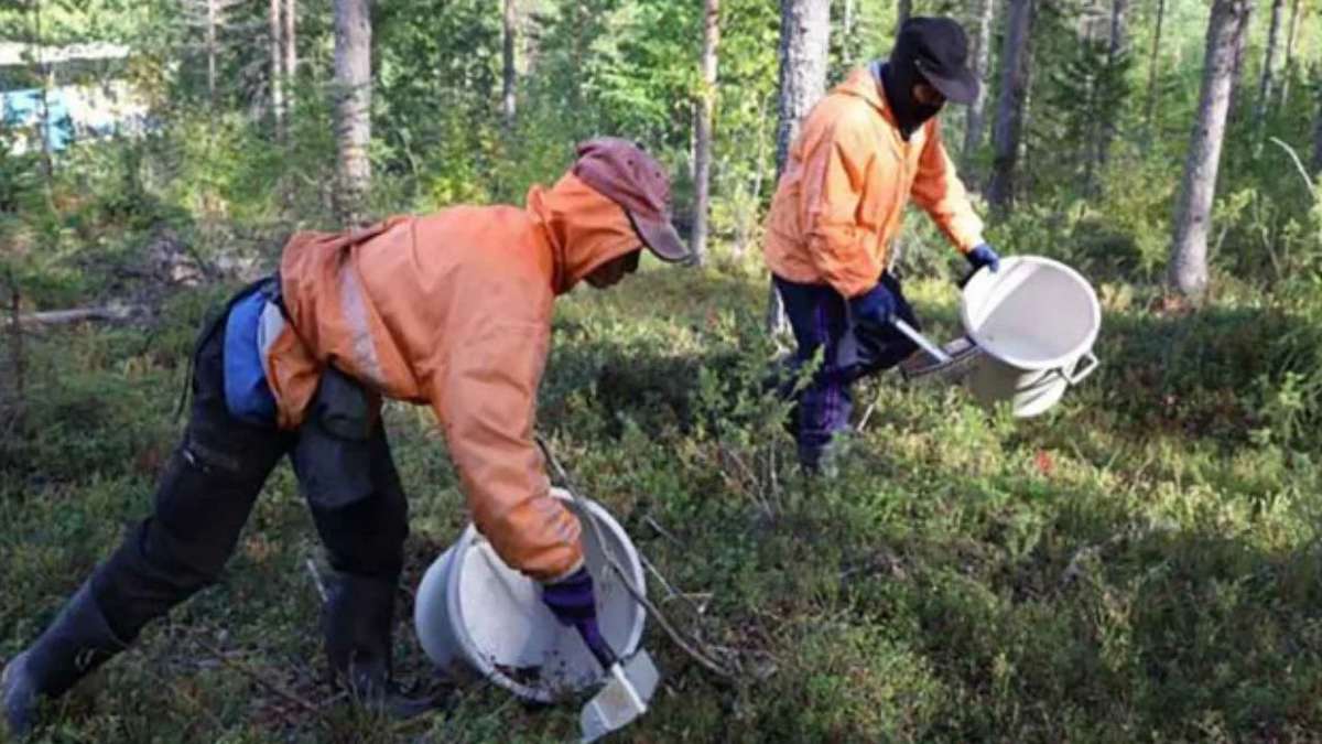 Thai-Arbeiter in Finnland ausgebeutet