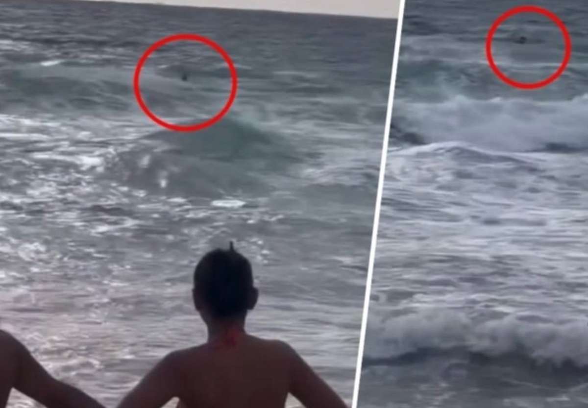 Tourist trotzt Flaggen – fast ertrunken