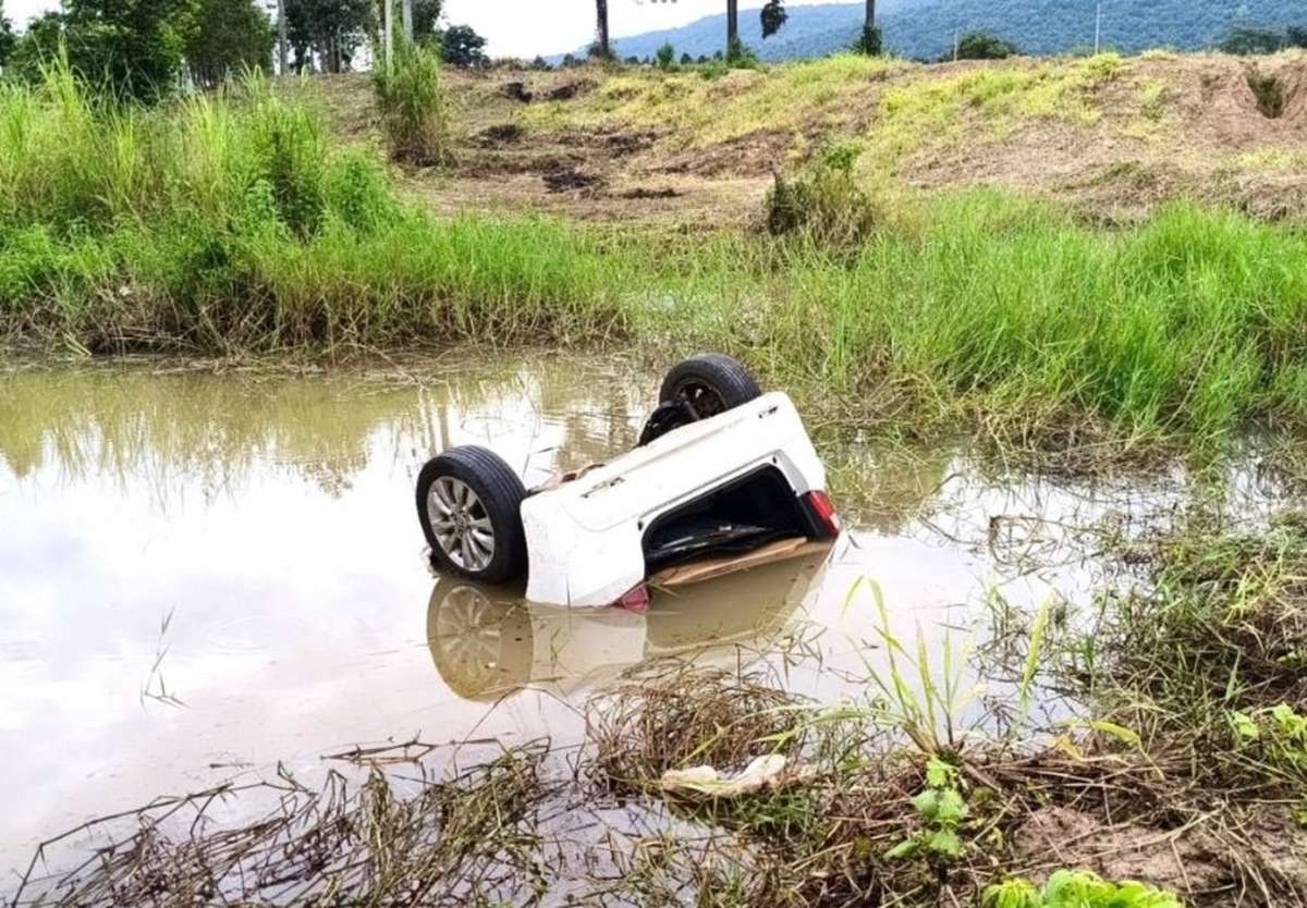 Tragödie auf Highway 12: Auto kollidiert mit Kuh