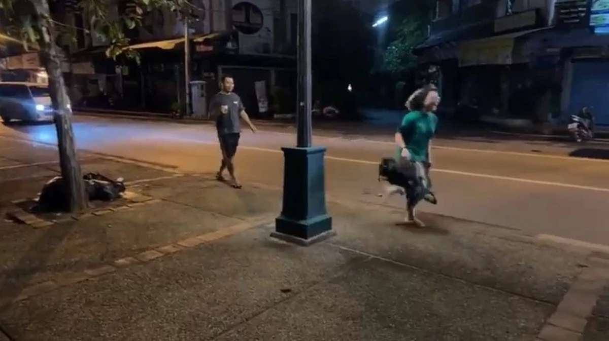 VIDEO: Rattenalarm in Chiang Mai