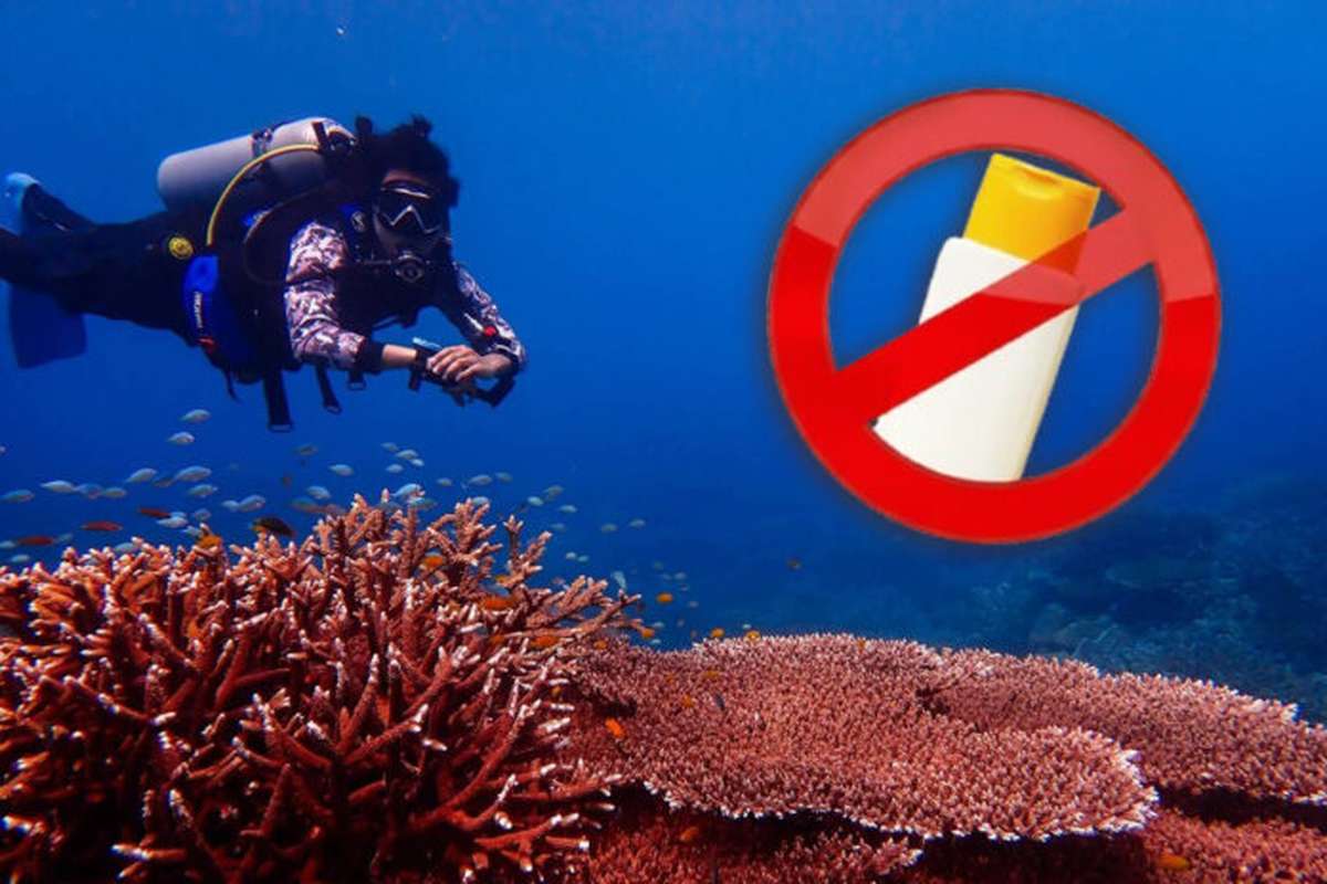 3.000 Euro Strafe drohen bei „falscher“ Sonnencreme