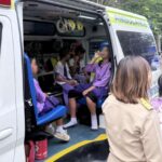 Bienenattacke in Schule - 27 Verletzte