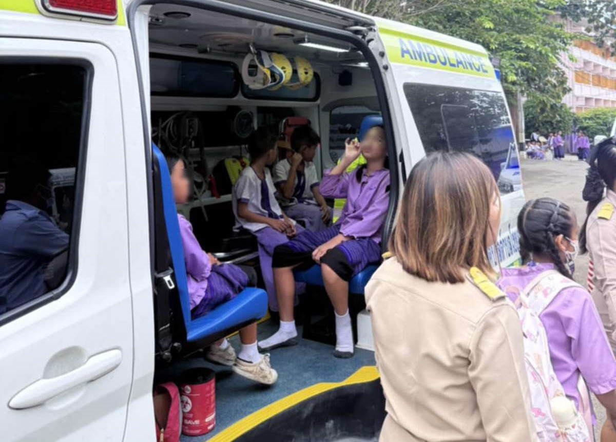 Bienenattacke in Schule – 27 Verletzte