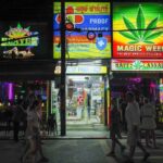 Cannabis-Alarm auf Phuket! Cannabis-Reform abgeschlossen