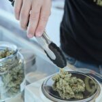Cannabis-Zukunft ungewiss: Gesetz wird geprüft Cannabis-Zukunft ungewiss: Gesetz wird geprüft