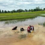 Freunde müssen hilflos zusehen Freunde müssen hilflos zusehen