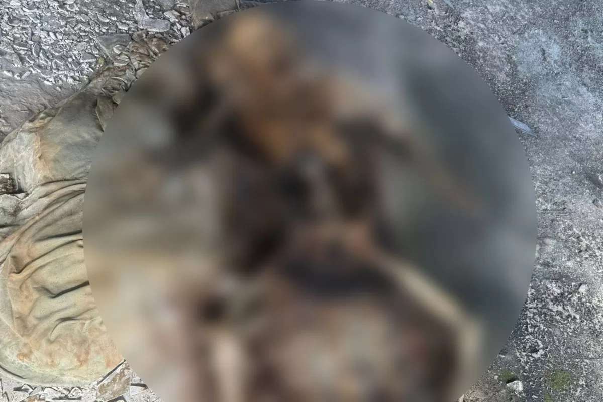 Handy zurück – Leichenfotos entdeckt