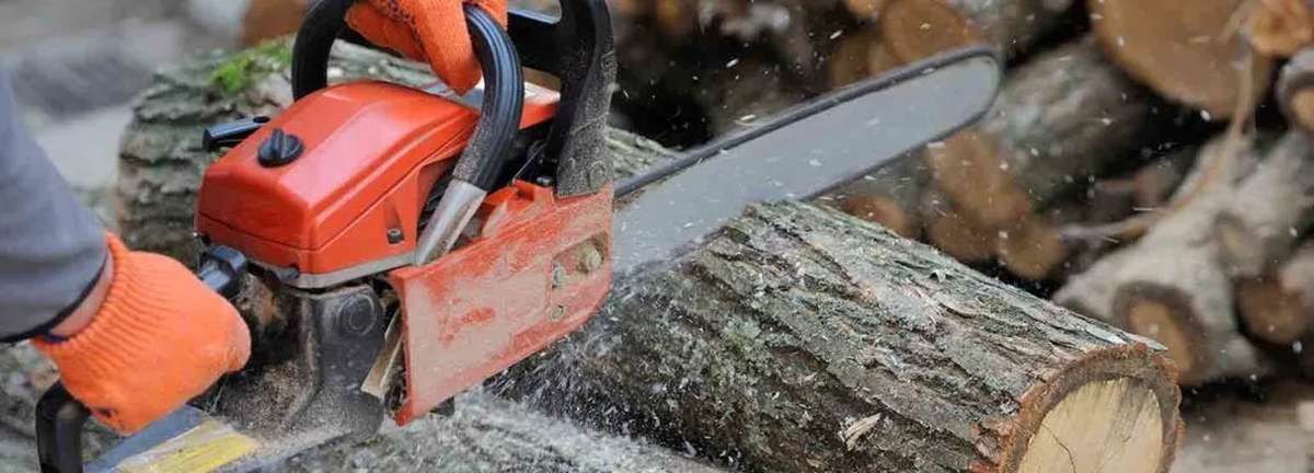 Motorsäge in Thailand