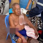 Nonthaburi: Hund attackiert 83-jährigen Besitzer