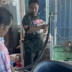 Tödliche Kobra! Enkel ruft Oma an – letzte Worte: „Ich liebe dich“