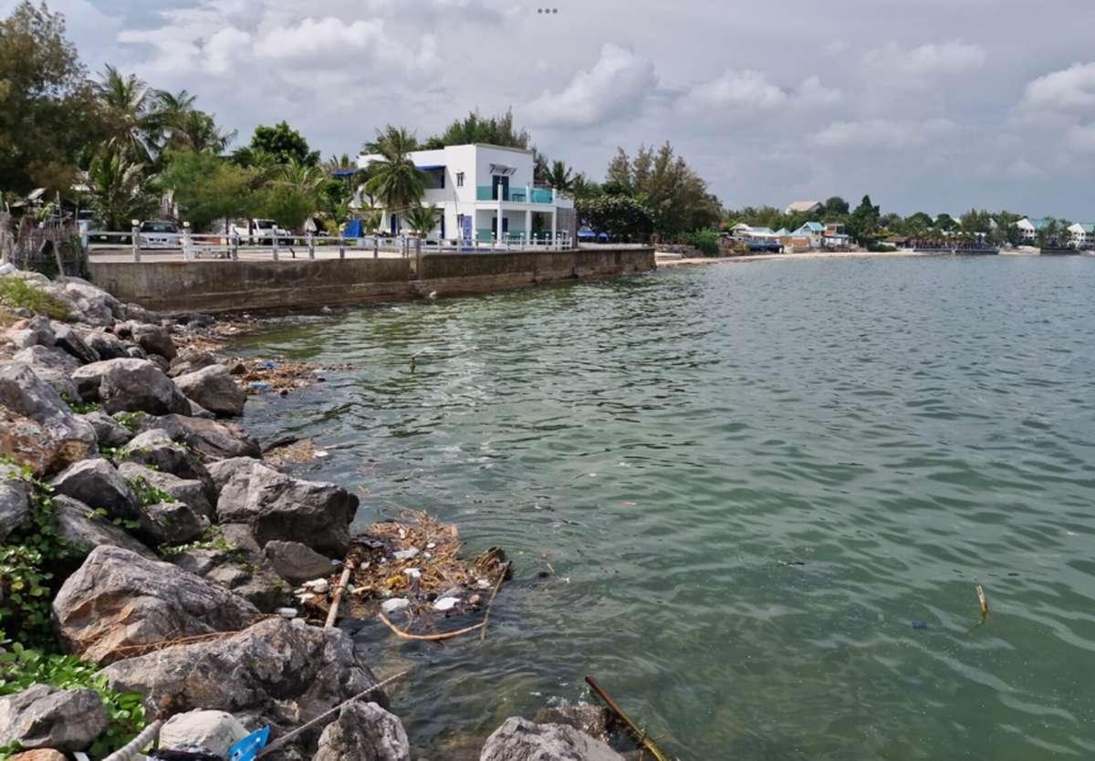 Urlauber gewarnt: Quallen-Alarm in Cha-am!