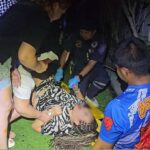 Wieder betrunken von Balkon gestürzt - Russin schwer verletzt