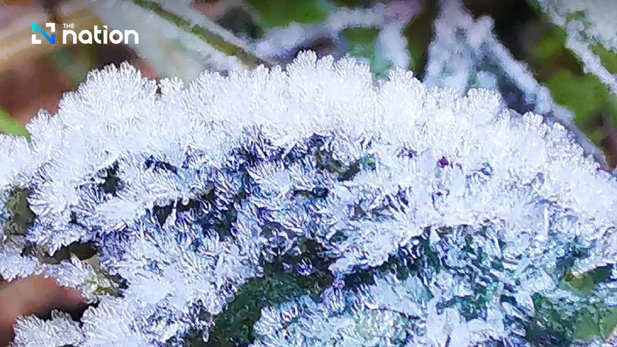 Süden unter Alarm – Norden feiert ersten Frost