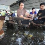 Essen im Hochwasser: Thailands verrücktestes Lokal