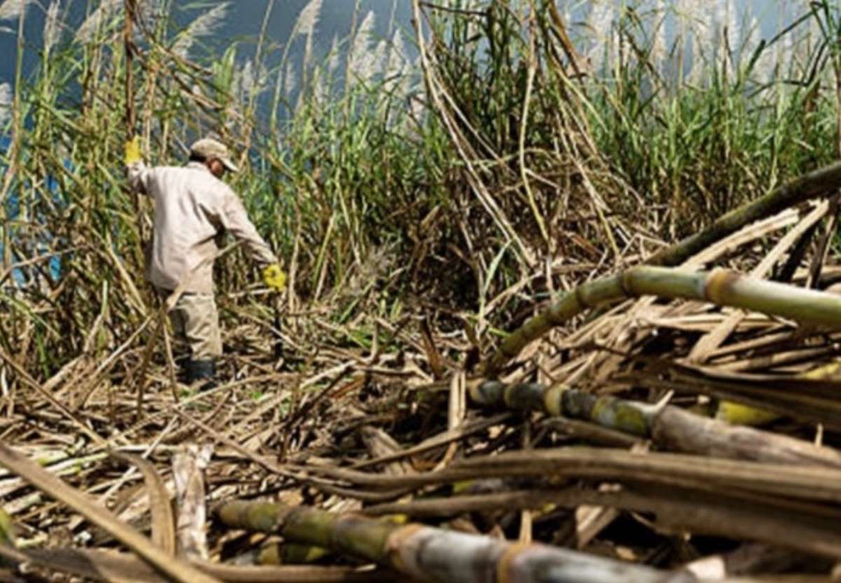 Exporte kollabieren – Milliarden stehen auf dem Spiel