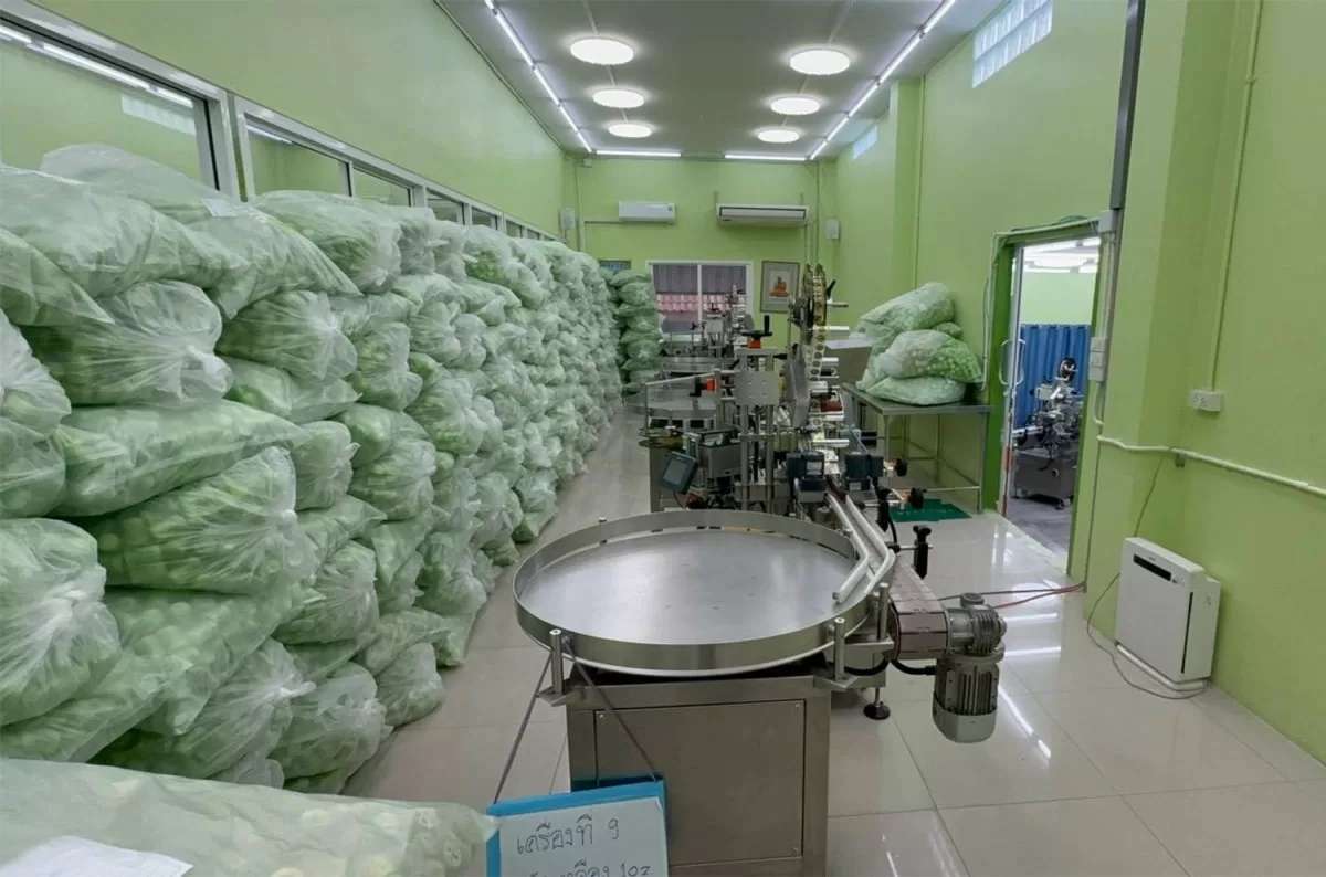 Illegale Fabriken entdeckt – 2,3 Mio. Inhaler beschlagnahmt