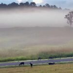 Kälteeinbruch trifft Thailand hart