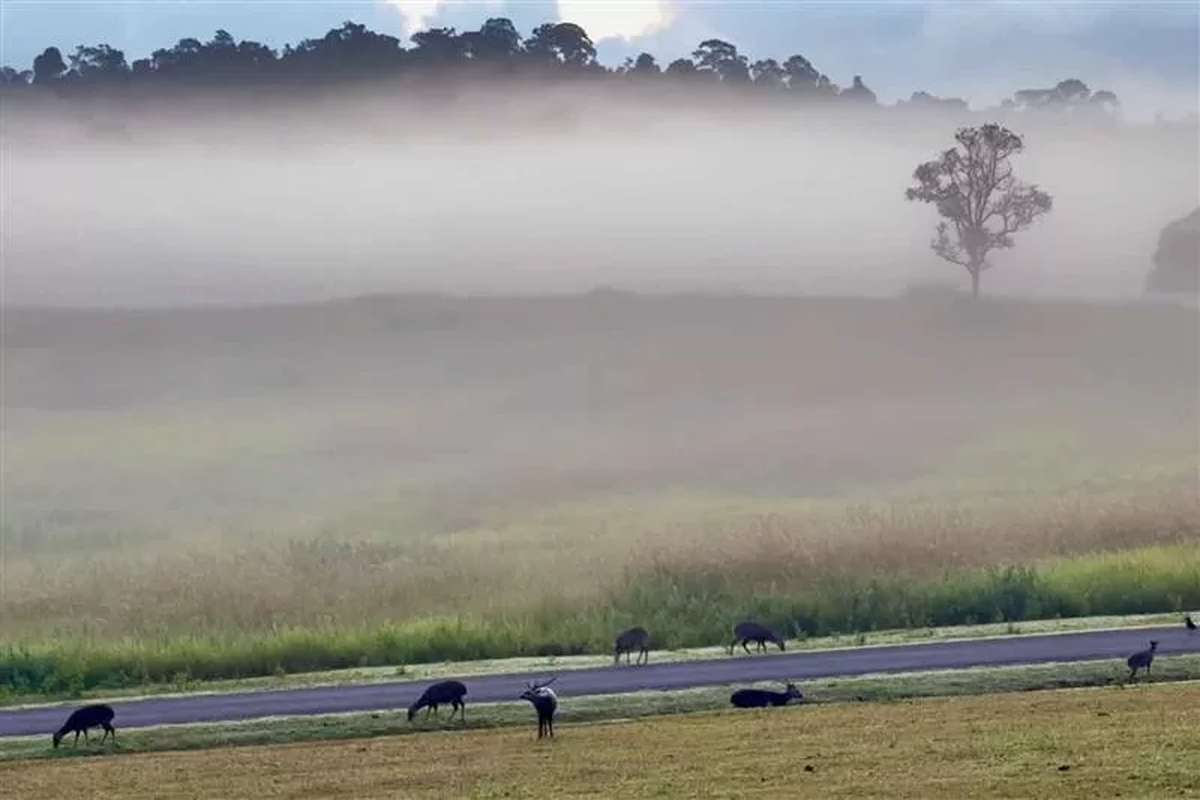 Kälteeinbruch trifft Thailand hart