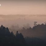 Kälteschock aus China trifft Thailand!