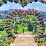 Neues Tief bringt Sturm, Regen und Kälte Neues Tief bringt Sturm, Regen und Kälte