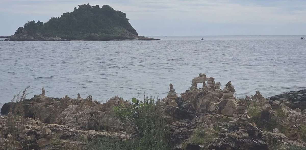 Nur ein Stein bewegt – und schon stirbt ein Lebensraum!