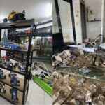 Spielwaren-Shop komplett geplündert