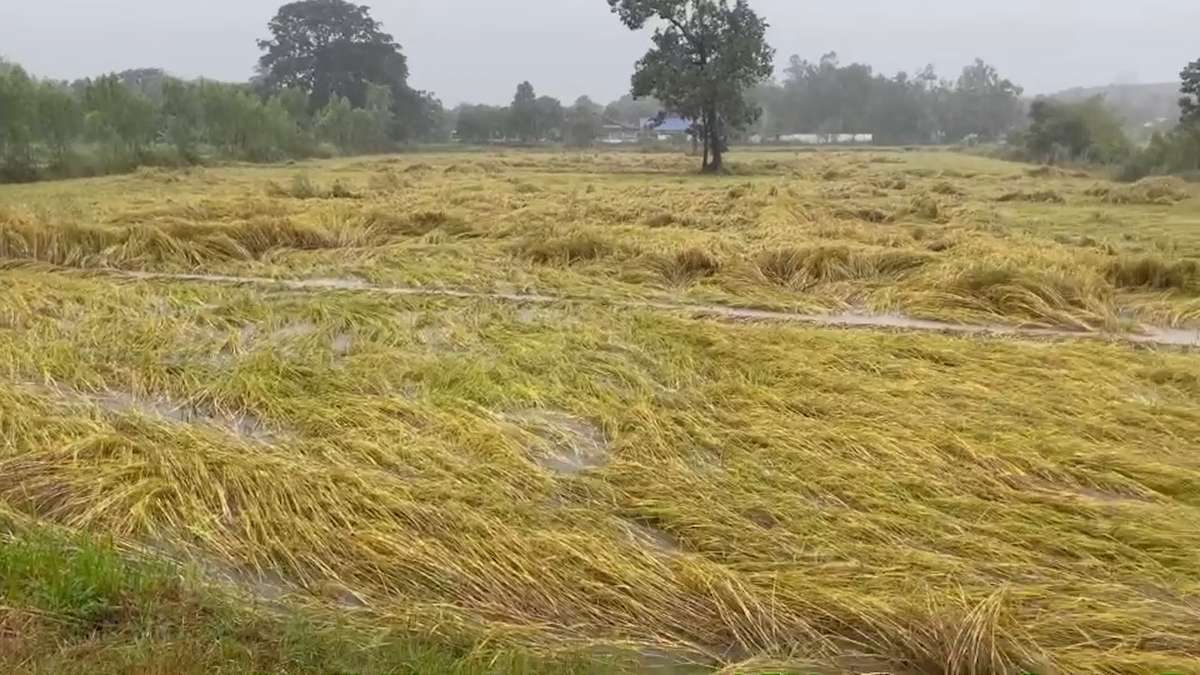 Sturm Kalmaegi bringt Chaos