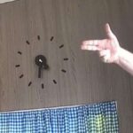 Tourist dreht durch - wegen Katze Tourist dreht durch - wegen Katze