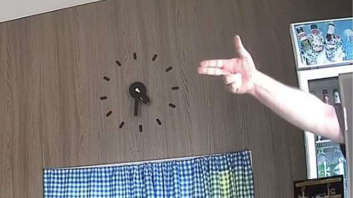 Tourist dreht durch - wegen Katze