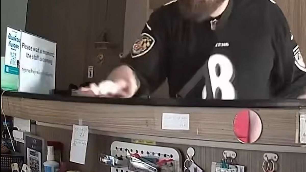 Tourist dreht durch - wegen Katze