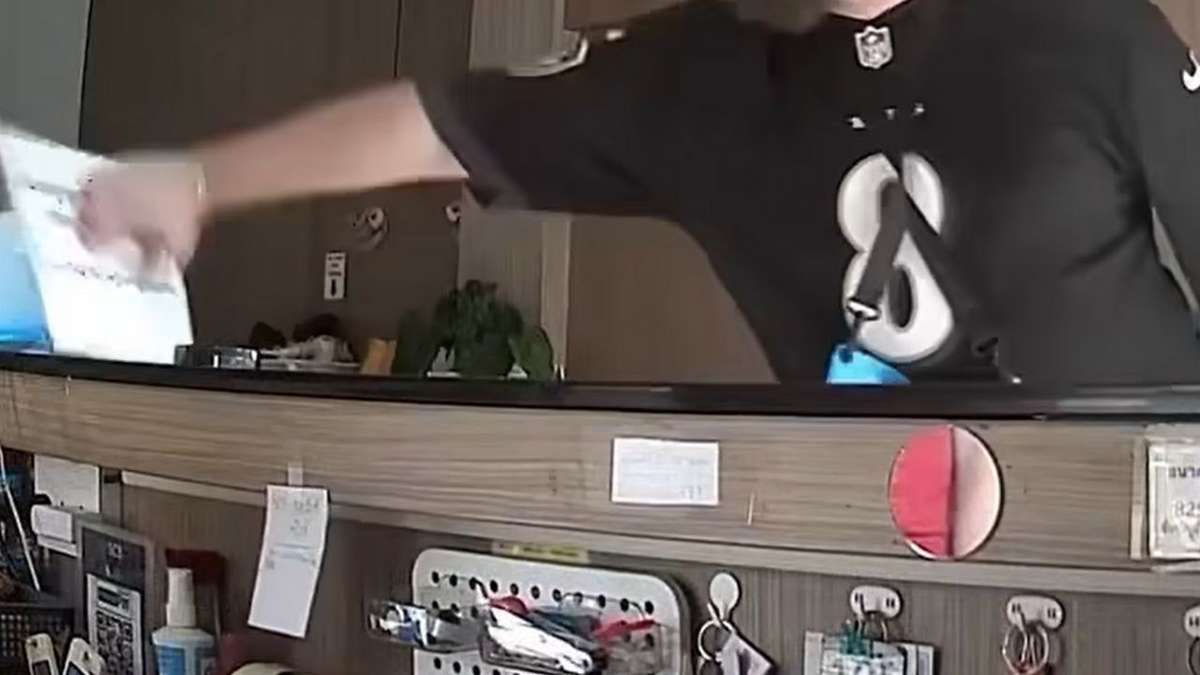 Tourist dreht durch - wegen Katze