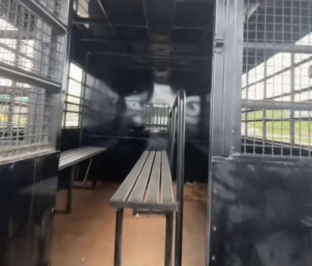 Tourist will per Anhalter weiter – Immigration hält an