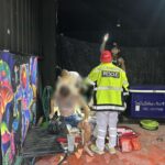 Trans-Frau verletzt ukrainischen Freund Trans-Frau verletzt ukrainischen Freund