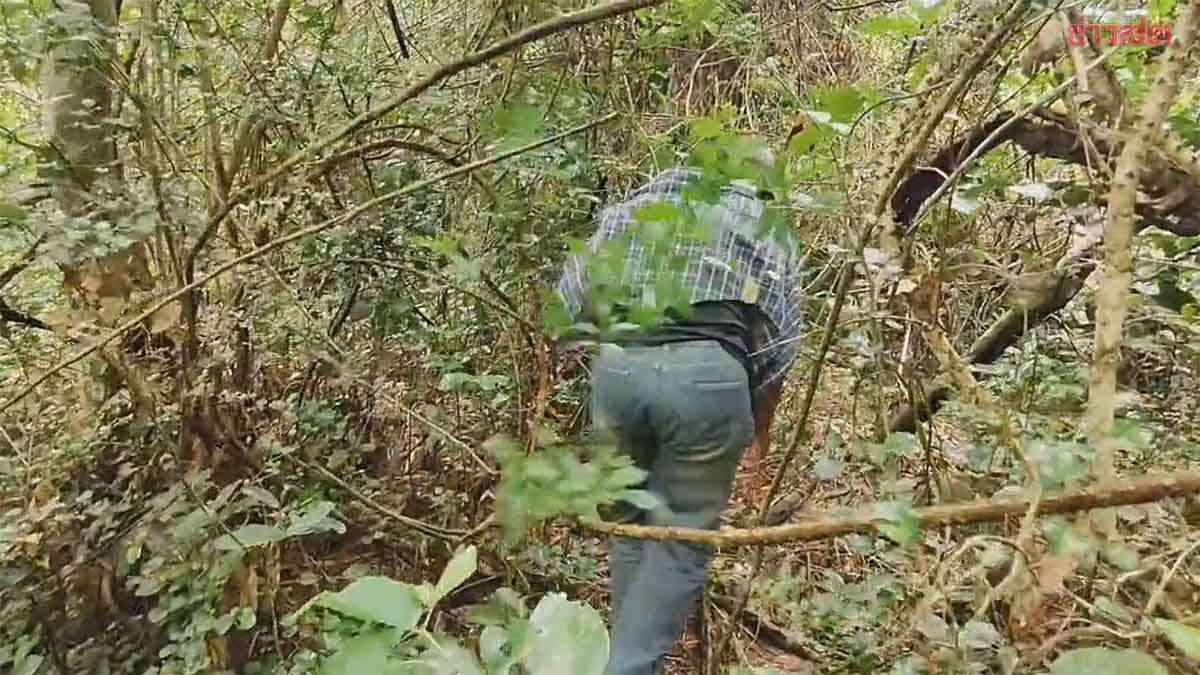 Wandern wird jetzt lebensgefährlich