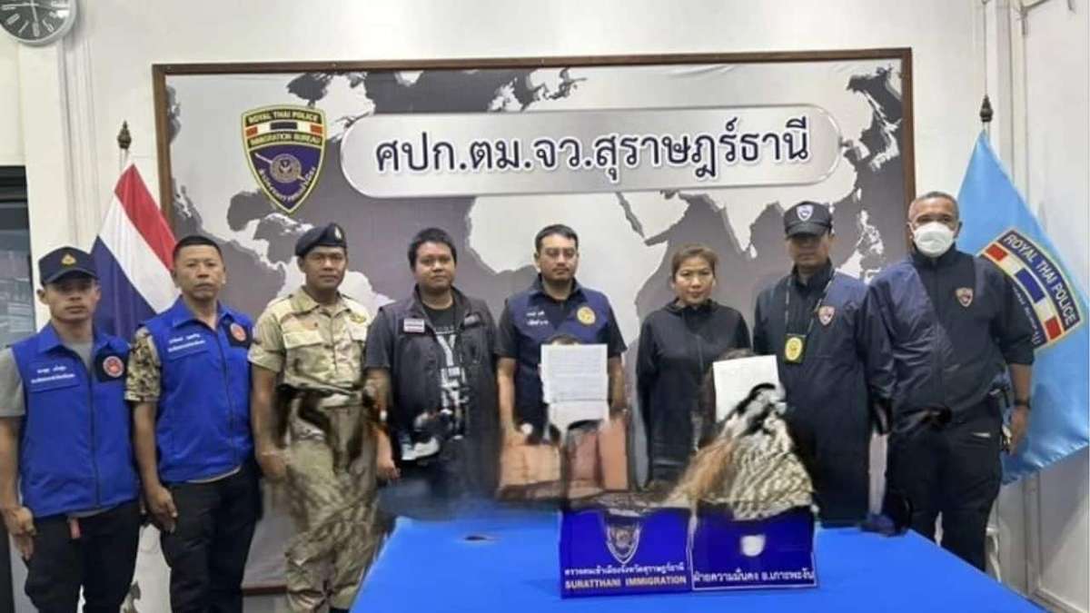 Wieder Skandal auf Koh Phangan