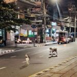 100.000 Streuner: Bangkok plant Mega-Eingriff